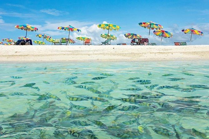 Phi Phi Green & Khai Islands - Inclusions and Pickup