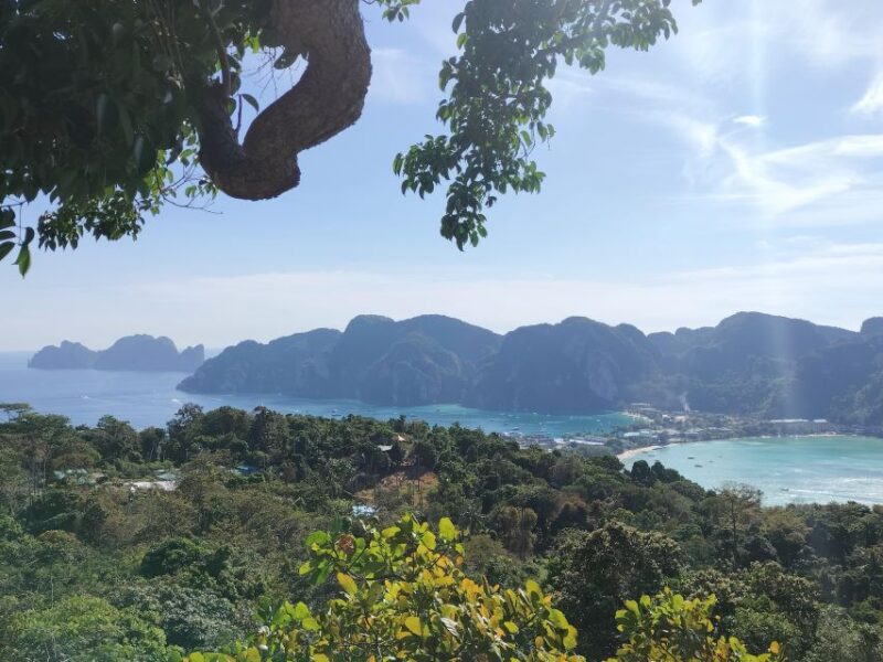 Phi Phi: Guided Jungle Trek & Night Swim With Plankton - Trek Details and Difficulty