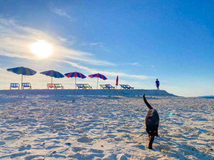Phi Phi Highlight: Full-Day Island by Speedboat or Catamaran - Important Considerations