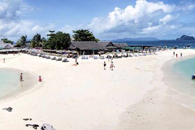 Phi Phi Island From Phuket by Speedboat (Sha Plus) - Tour Highlights