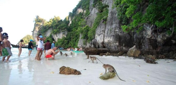Phi Phi Island: Half- Day Long - Tail Boat Tour - Departure Time