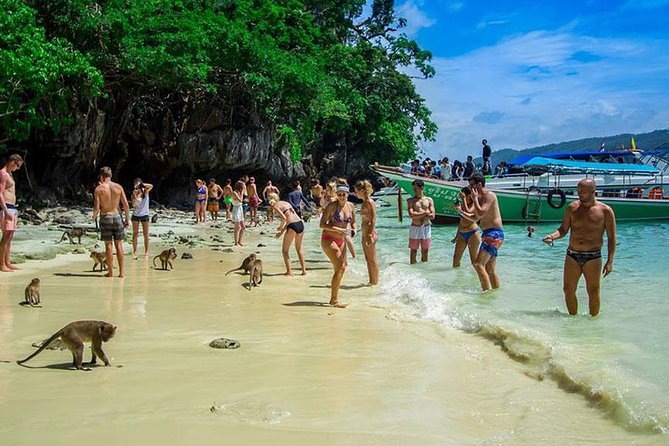 Phi Phi Island Half Day Tour From Phi Phi by Longtail Boat - Itinerary Highlights