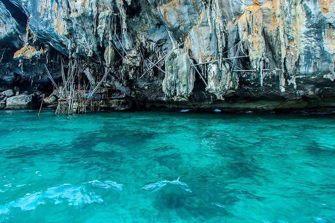 Phi Phi Island Half Day Tour From Phi Phi by Longtail Boat - Reviews and Feedback