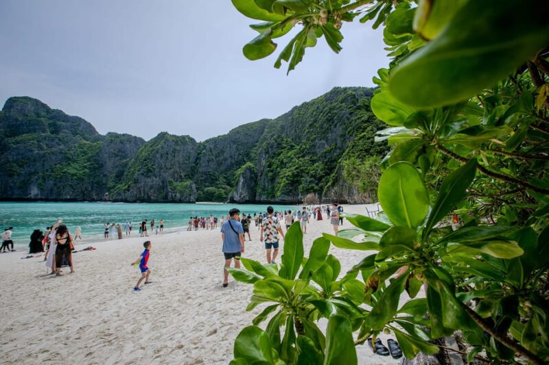 Phi Phi Island: Maya Bay Sunset & Plankton by Speedboat - Key Points