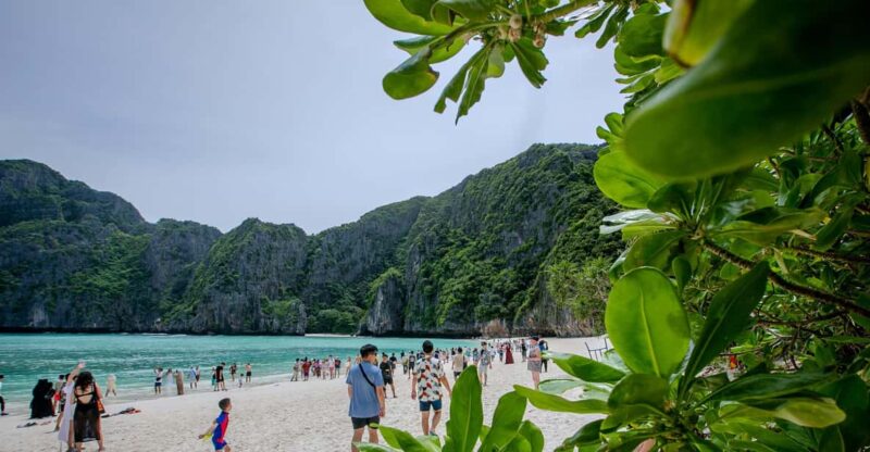 Phi Phi Island: Maya Bay Sunset & Plankton by Speedboat - Itinerary Highlights