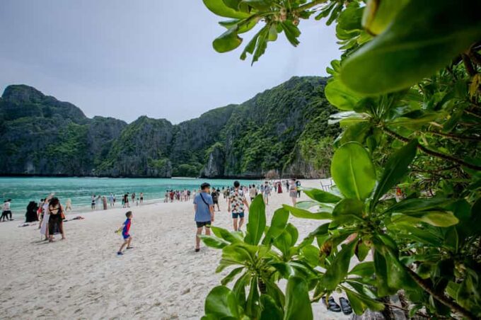 Phi Phi Island: Maya Bay Sunset & Plankton by Speedboat - Shark Point Snorkeling