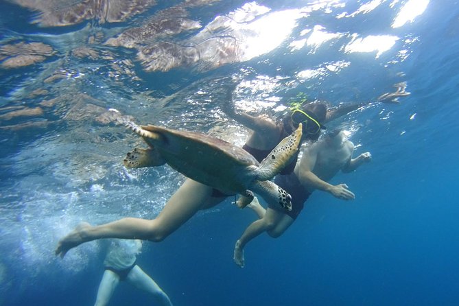 PHI PHI ISLAND - Sunrise Trip From Phi Phi Don By Phi Phi Local Tour - Important Considerations and Restrictions