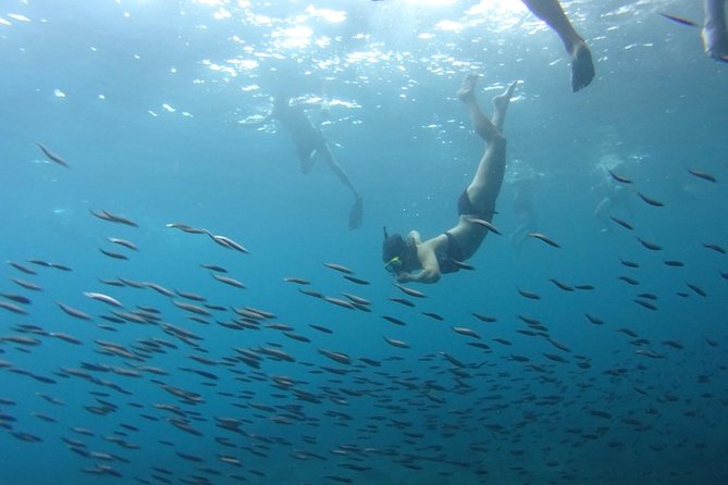 PHI PHI ISLAND - Sunrise Trip From Phi Phi Don By Phi Phi Local Tour - Booking Confirmation and Group Size