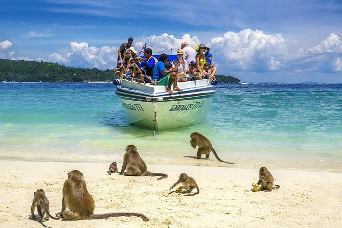 Phi Phi Island Tour by Speedboat From Krabi With Lunch (Sha Plus) - Booking and Cancellation