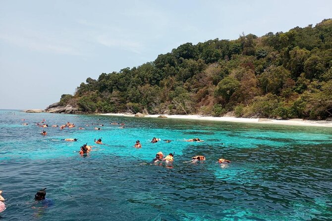 Phi Phi Islands and Maya Bay Tour Review - Traveler Reviews