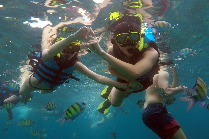 Phi Phi Islands Day Tour Bamboo and Maya Bay With Lunch by Speedboat - Safety and Insurance