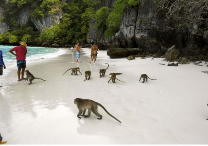 Phi Phi Islands: Half-Day Private Speed Boat Charter - Frequently Asked Questions