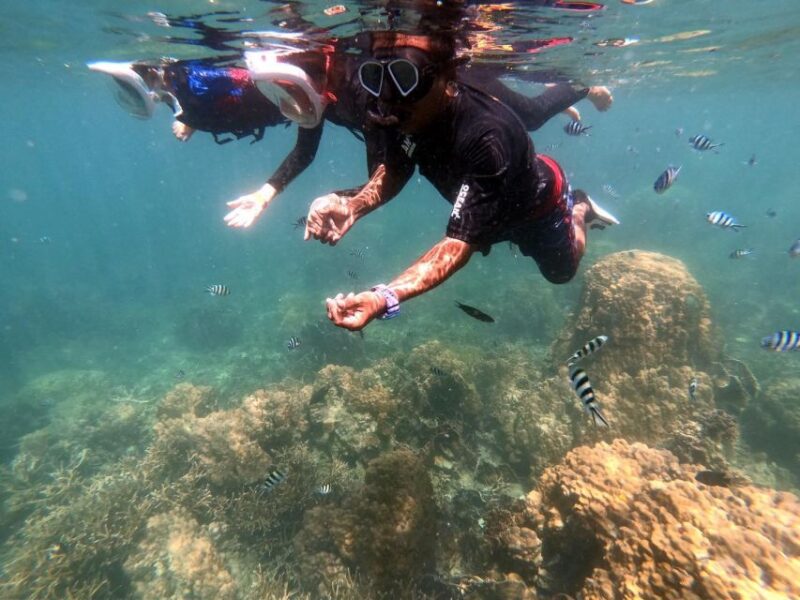 Phi Phi Islands: Maya Bay Tour By Private Longtail Boat - Activity Details