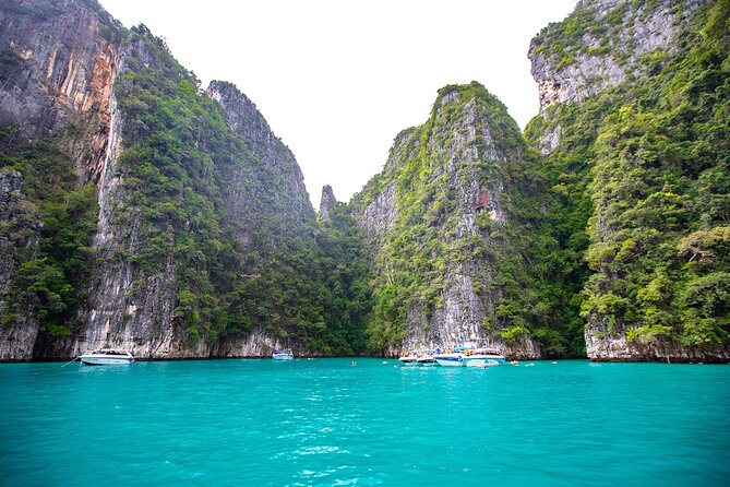 Phi Phi Islands One Day Tour by Speedboat From Krabi - Customer Feedback and Recommendations