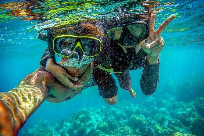Phi Phi Islands Premium Day Trip Speedboat With Seaview Lunch by ALP Tour - Destination Insights