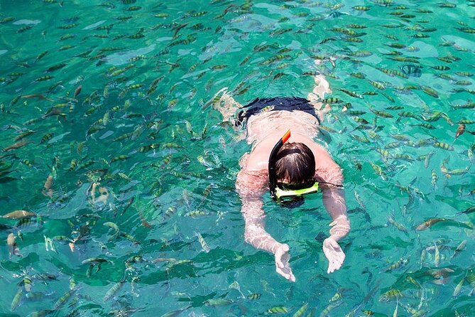 Phi Phi, Maya Bay, Bamboo by Private VIP Boat - Guest Reviews