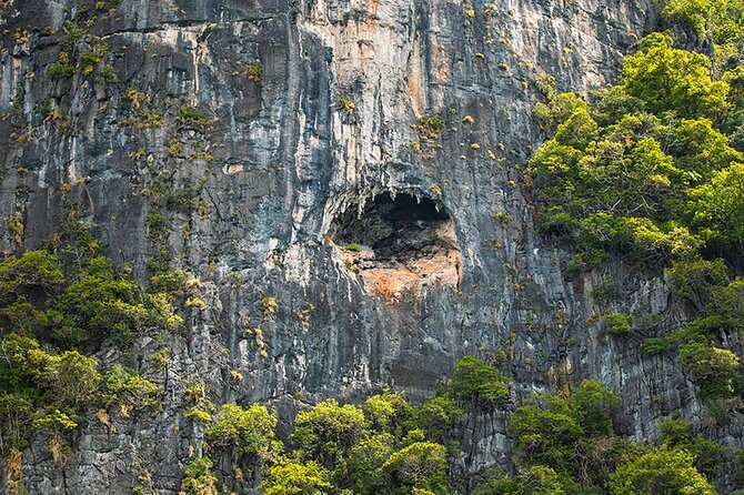 Phi Phi, Maya, Khai and Pileh Day Trip by Speed Catamaran From Phuket - Additional Details