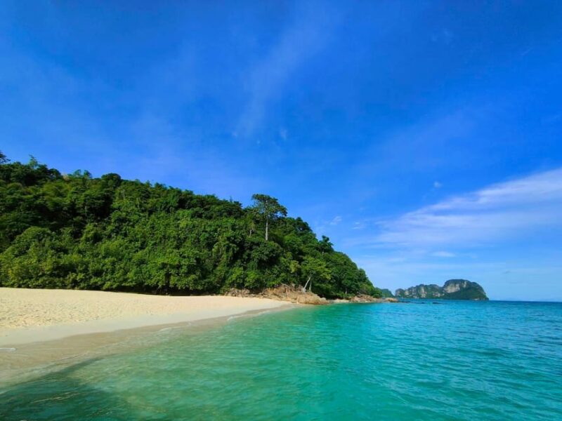 Phi Phi: One Day Trip by Long Tail Boat (7 Islands) - Key Points
