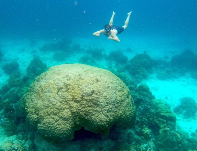 Phi Phi: Private Speedboat Tour to Maya Bay Incl. Park Fee - Boat and Tour Details