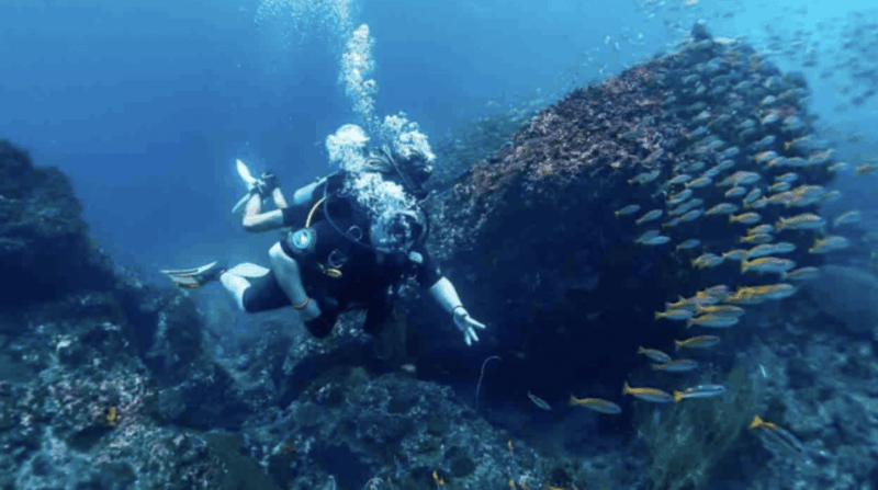 Phi Phi: Scuba Diving With Portuguese Speaking Instructor - Highlights of Phi Phi Diving