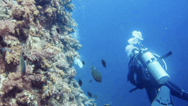 Phi Phi: Scuba Diving With Portuguese Speaking Instructor - Boat and Amenities