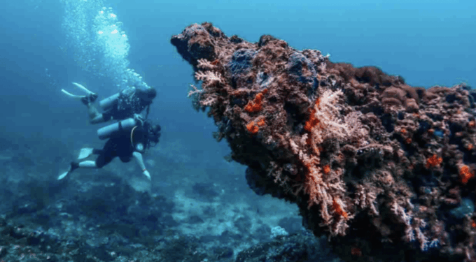 Phi Phi: Scuba Diving With Portuguese Speaking Instructor - What to Bring