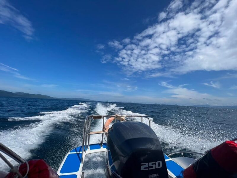 Phi Phi: Speed Boat to Maya Bay With Snorkeling Trip - Exploring Monkey Beach