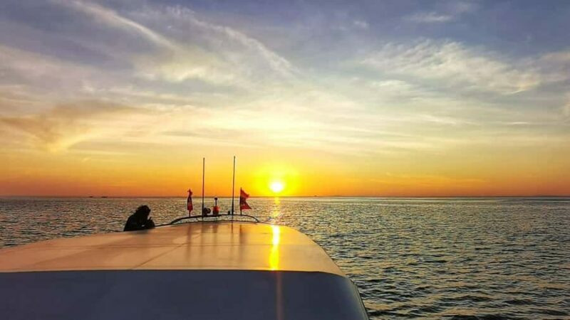Phi Phi: Sunrise & Beat The Crowds to Maya Bay by Speedboat - Key Points