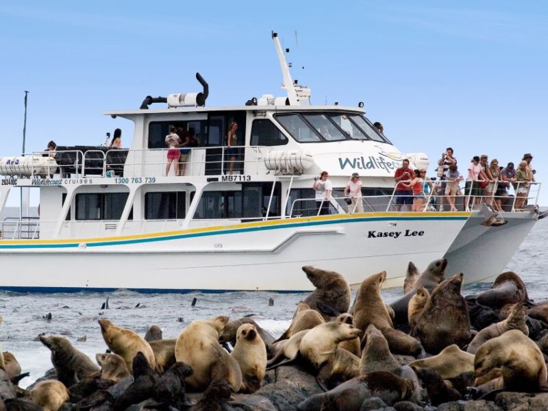 Philip Island: Seal Watching Cruise - Key Points