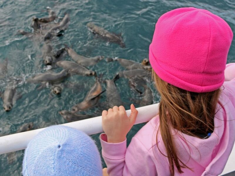 Philip Island: Seal Watching Cruise - Convenient Starting Point