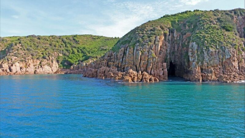 Phillip Island: 1-Hour Cape Woolamai Scenic Cruise - Key Points