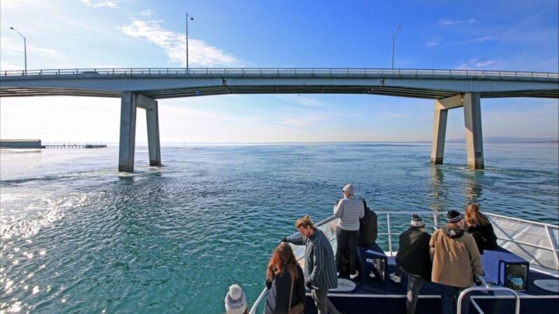 Phillip Island: 1-Hour Cape Woolamai Scenic Cruise - Experience Highlights