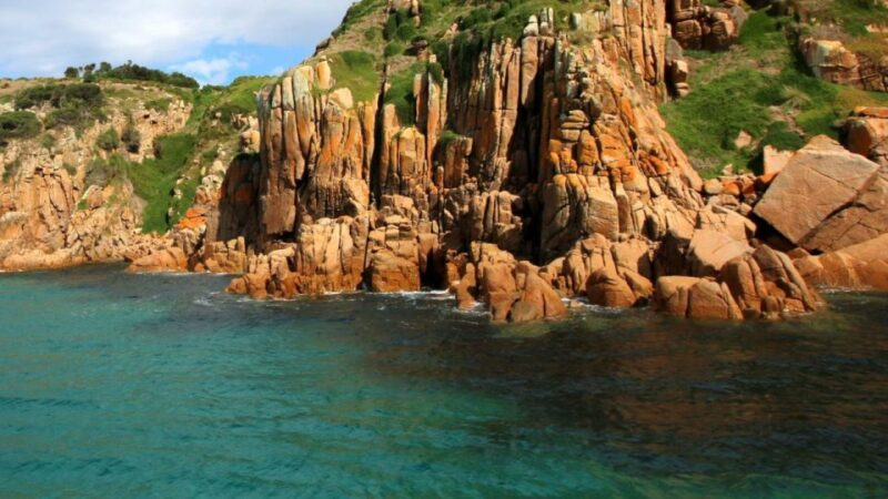 Phillip Island: 1-Hour Cape Woolamai Scenic Cruise - Suitability and Safety