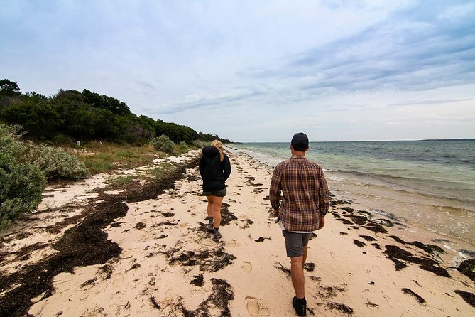 Phillip Island and French Island Wildlife Expedition - Guest Feedback and Experiences