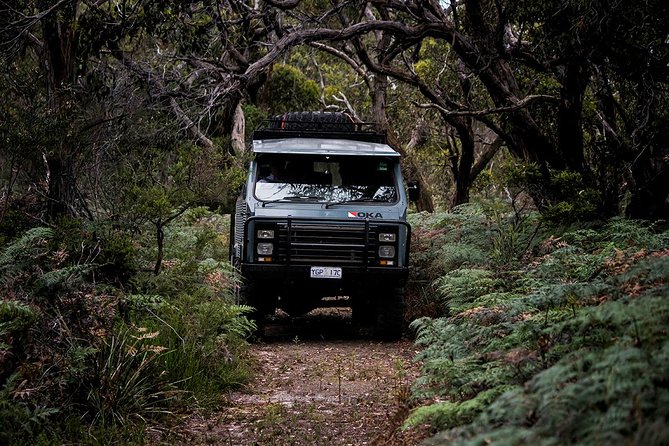Phillip Island and French Island Wildlife Expedition - Accessibility and Accommodations