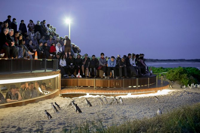 Phillip Island Day Trip From Melbourne With Penguin Plus Viewing Platform - Traveler Reviews and Feedback