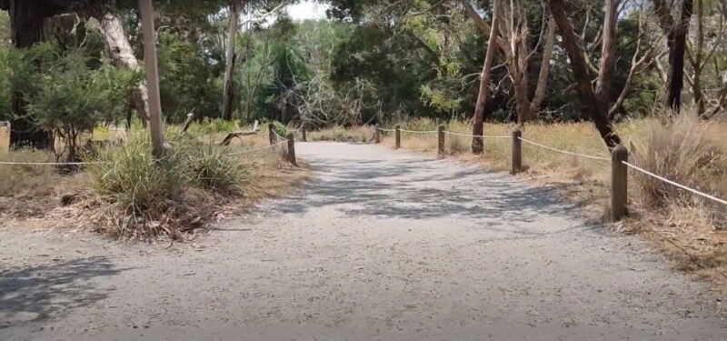 Phillip Island Driving Tour With an APP - Included Features