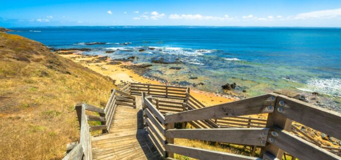 Phillip Island Driving Tour With an APP - Discover Cape Woolamai