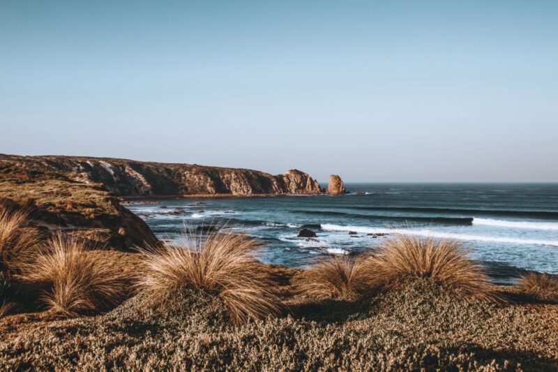 Phillip Island: Nature Hike and Penguin Parade With Guide - Key Points