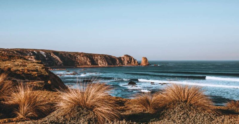 Phillip Island: Nature Hike and Penguin Parade With Guide - Drive to Phillip Island