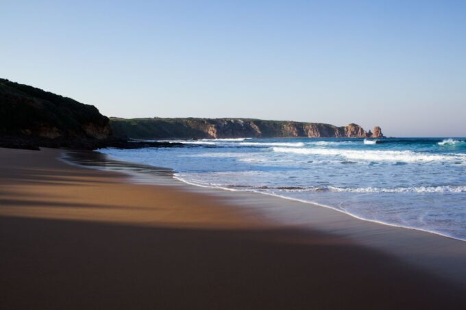Phillip Island: Nature Hike and Penguin Parade With Guide - Phillip Island Koala Reserve