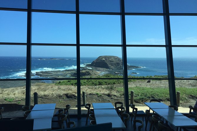 Phillip Island Penguin and Koala Highlights Day-Trip From Melbourne - Tour Conditions and Restrictions