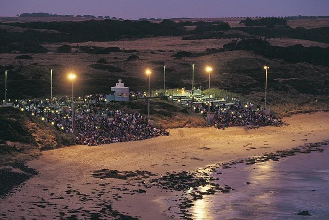Phillip Island Penguin and Koala Highlights Day-Trip From Melbourne - Conservation and Guidelines