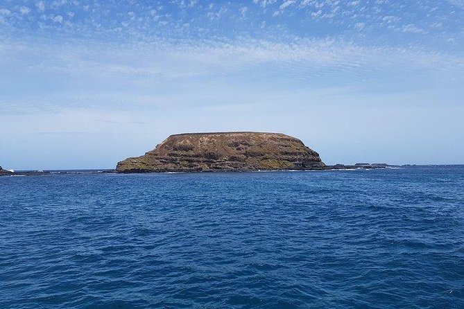 Phillip Island Penguin and Wildlife Tour - Positive Reviews