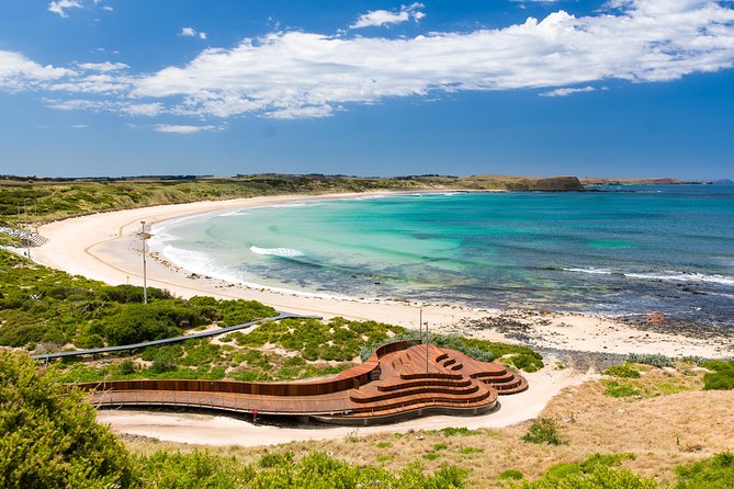 Phillip Island Penguin Parade, Brighton Bathing Boxes and Wildlife Park Tour - Meeting Point and Departure Time