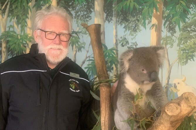 Phillip Island Penguin Parade, Wildlife and Beach Boxes Bus Tour - Accessibility and Participation