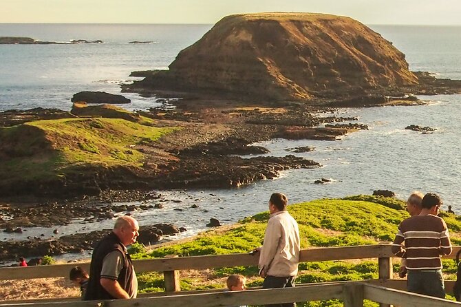 Phillip Island Penguin Parade, Wildlife and Beach Boxes Bus Tour - Traveler Feedback: Areas for Improvement