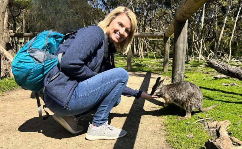 Phillip Island Penguin Parade with Expert Local Guide - Authentic Encounters & Reviewer Insights