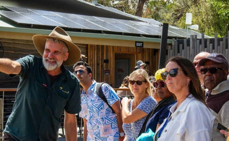 Phillip Island Penguin Parade with Expert Local Guide - Final Thoughts: Is It Worth It?
