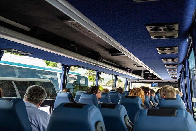 Phillip Island, Penguins, Koalas & Wildlife Tour - From Melbourne - Wildlife Encounters